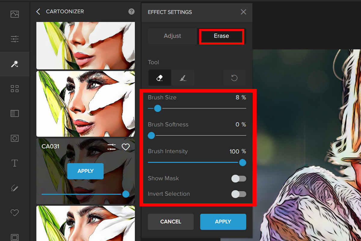 Вкладка Erase: размер кисти, мягкость, интенсивность, Show Mask и Invert Selection