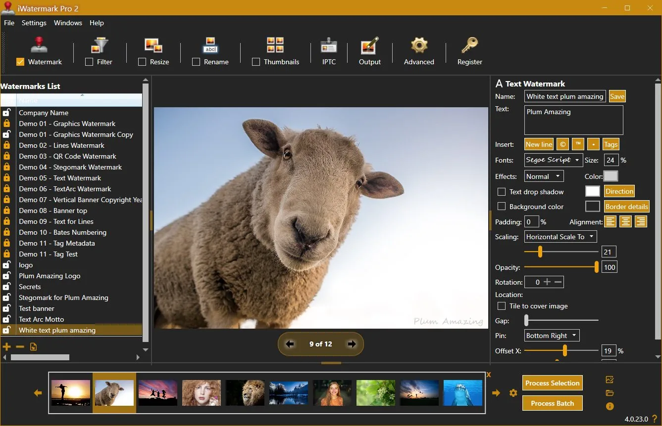 Темная тема iWatermark Pro 2: список Watermarks List, предпросмотр изображения, панель A Text Watermark и параметры текста