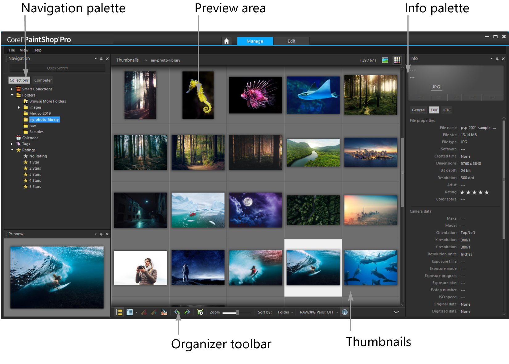 Рабочее пространство Manage в PaintShop Pro