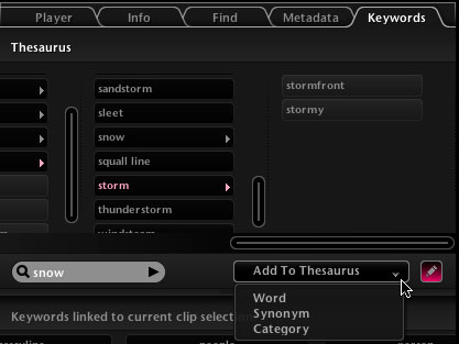 Меню Add To Thesaurus в AtomicView с вариантами Word, Synonym и Category