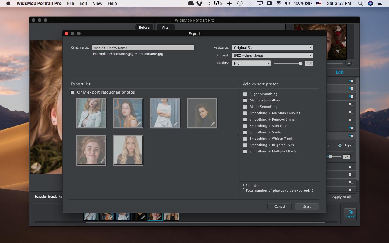 WidsMob Portrait Pro
