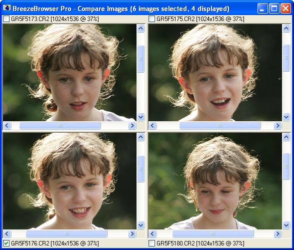 BreezeBrowser Pro
