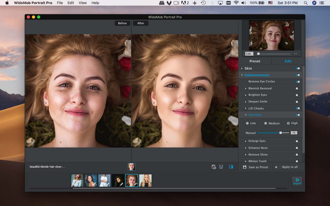 WidsMob Portrait Pro