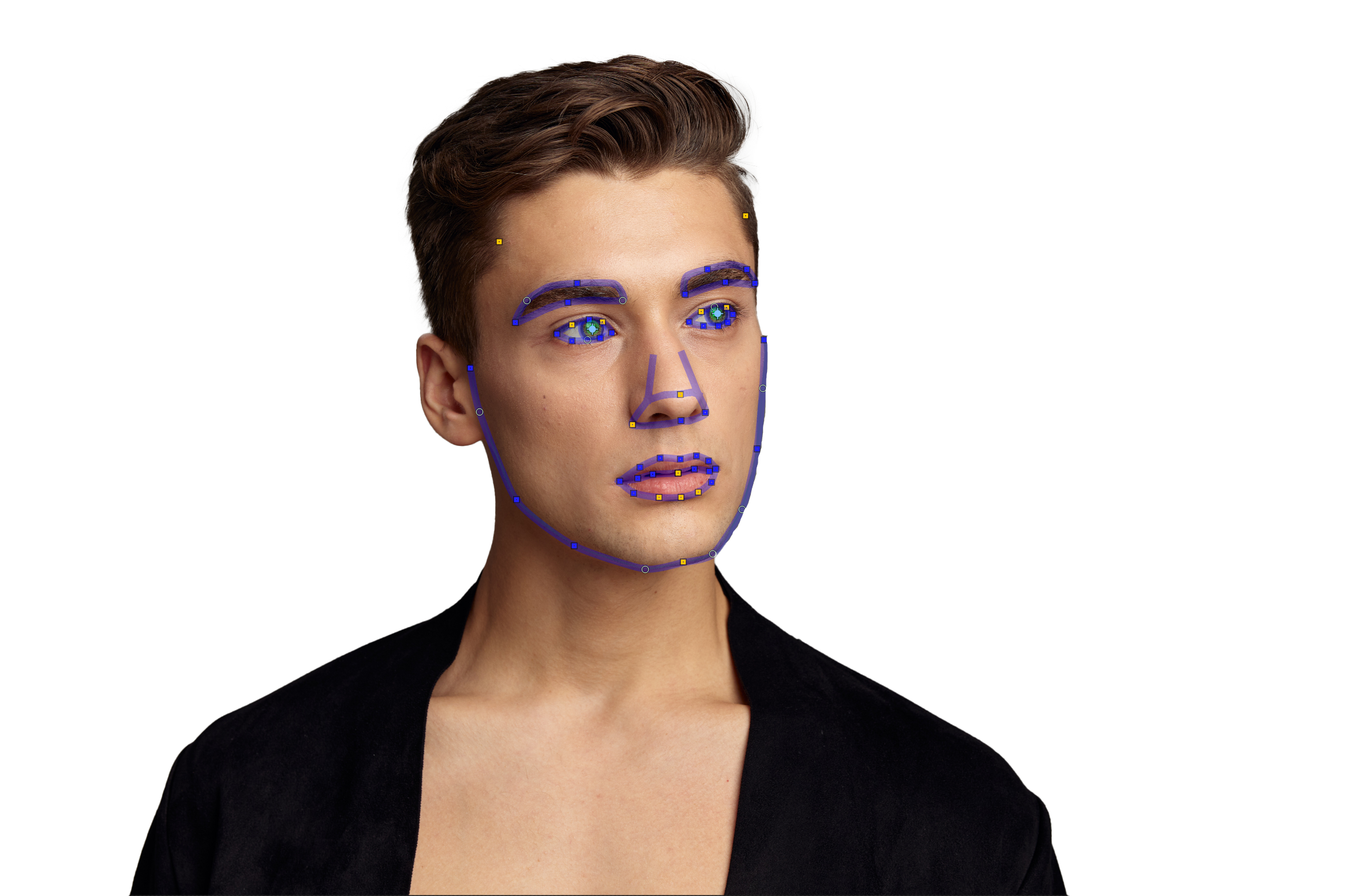 Разметка лица в PortraitPro: глаза, брови, нос, губы и контур лица