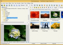 FastStone Image Viewer