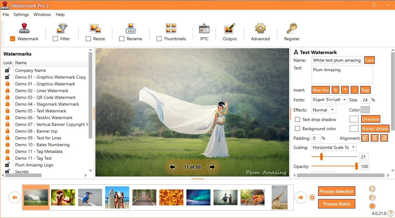 Главное окно iWatermark Pro 2 с панелью Watermark, списком водяных знаков, предпросмотром и кнопками Process Selection / Process Batch