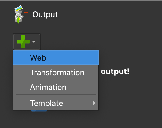 Выбор Web Output в панели Output