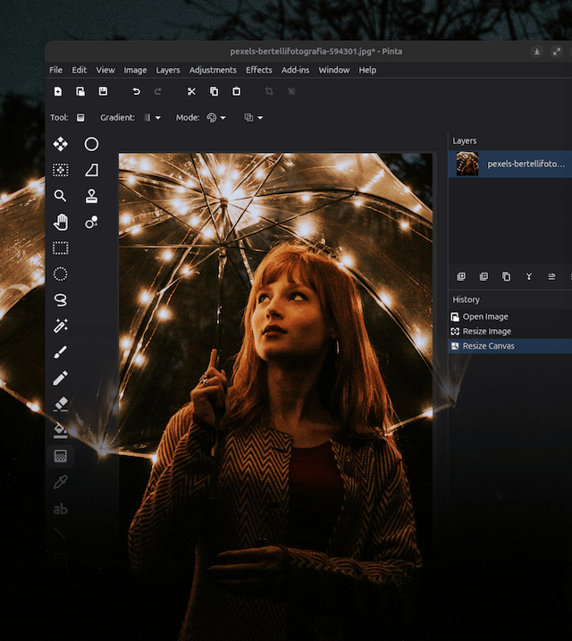 Интерфейс Pinta Image Editor в темной теме