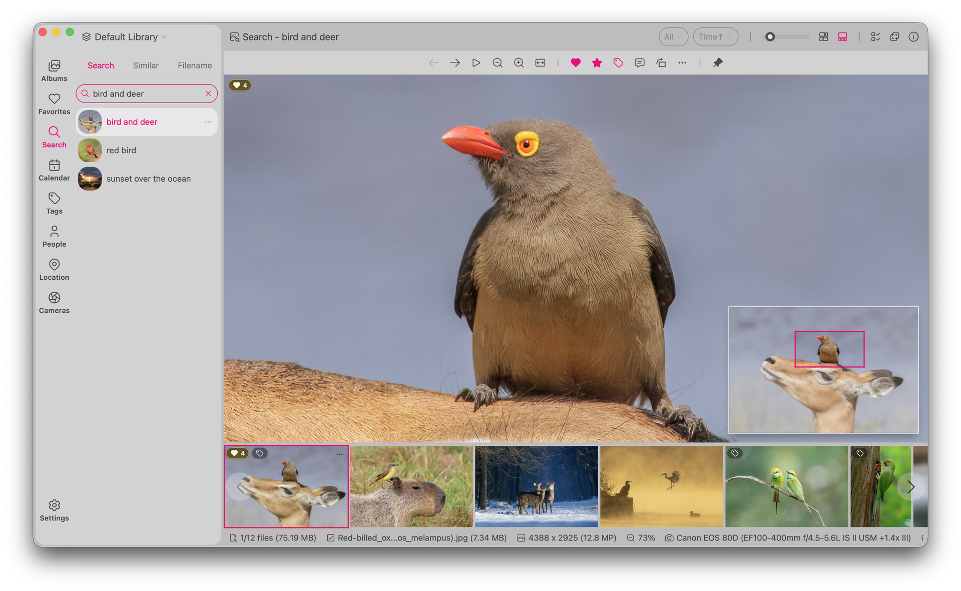 LAP Photo Manager