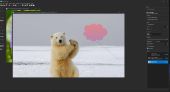 WildBit Viewer