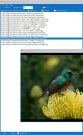 WildBit Viewer