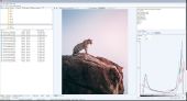 WildBit Viewer