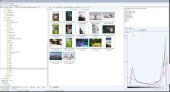 WildBit Viewer