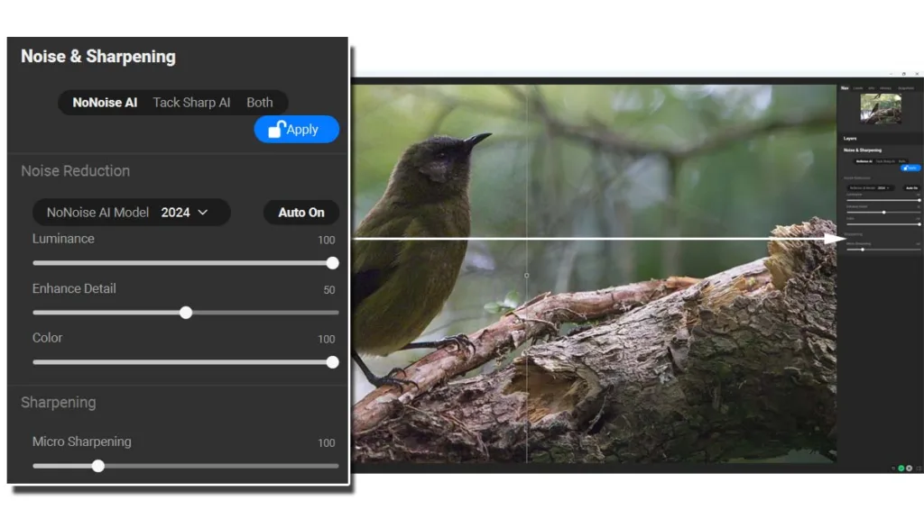 Панель Noise & Sharpening с вкладками NoNoise AI, Tack Sharp AI и Both