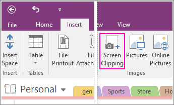 OneNote