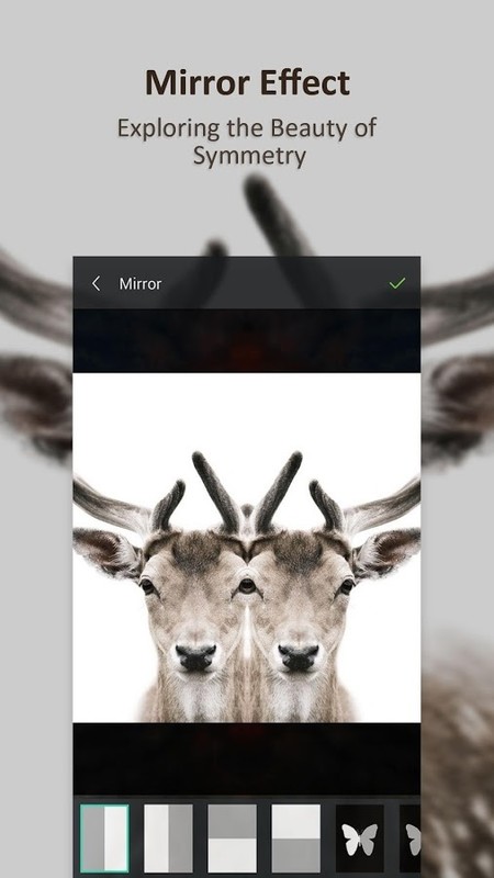 Toolwiz Photos