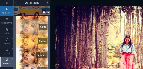 Фильтры Effects в Watermark.ws