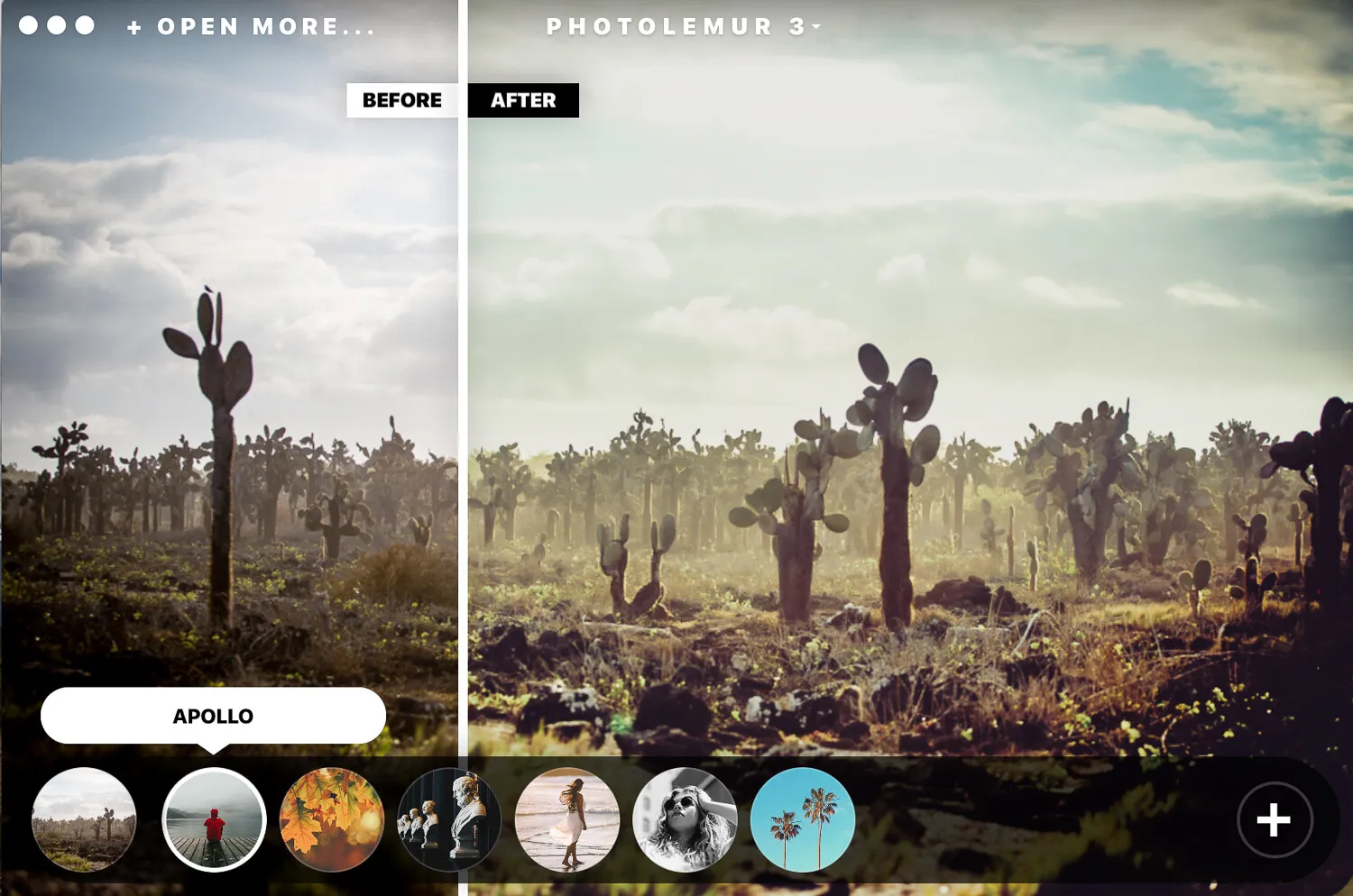 Photolemur