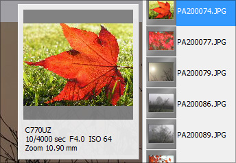 Предпросмотр PhotoRazor, список фотографий и EXIF-информация выбранного снимка