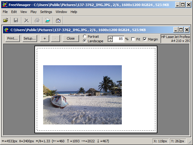 FreeVimager: окно Print Preview с размещением изображения на листе