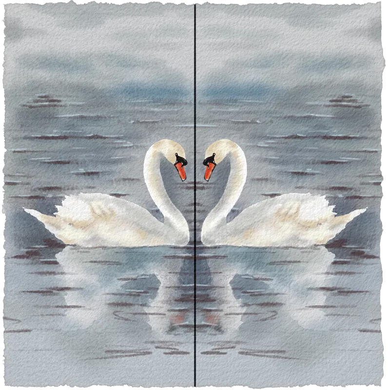 Symmetry Tool в Rebelle