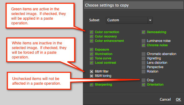 Диалог Choose settings to copy в Photo Ninja