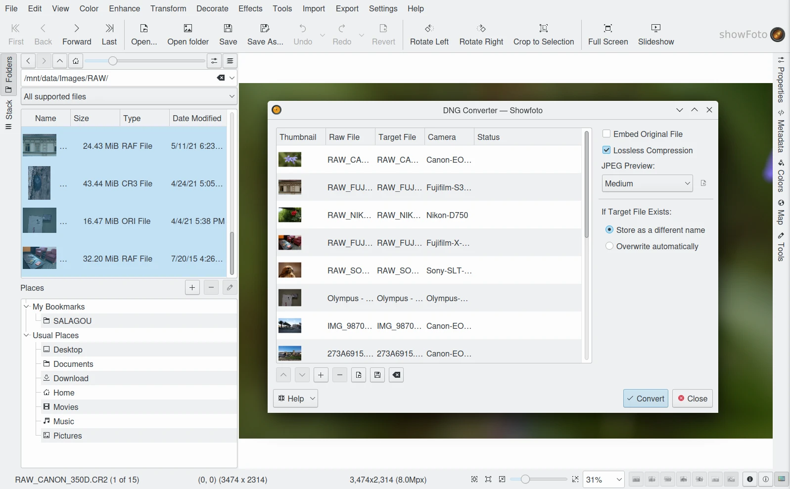 DNG Converter в Showfoto со списком RAW-файлов, настройками Lossless Compression и кнопкой Convert