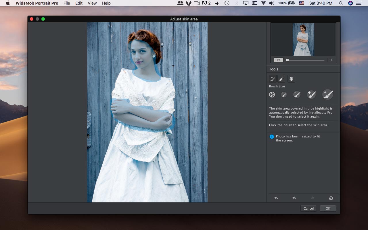 WidsMob Portrait Pro