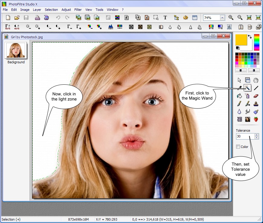 Magic Wand в PhotoFiltre Studio X: выделение светлой области с настройкой Tolerance