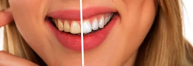 SoftSkin Photo Makeup