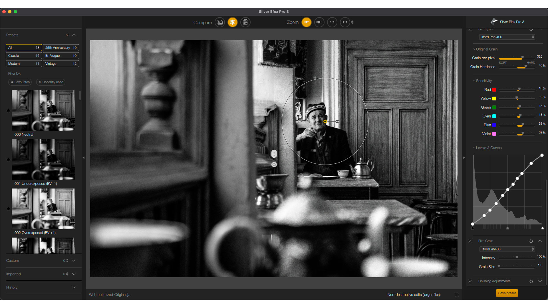 Интерфейс Nik Silver Efex Pro 3 в Nik Collection 4